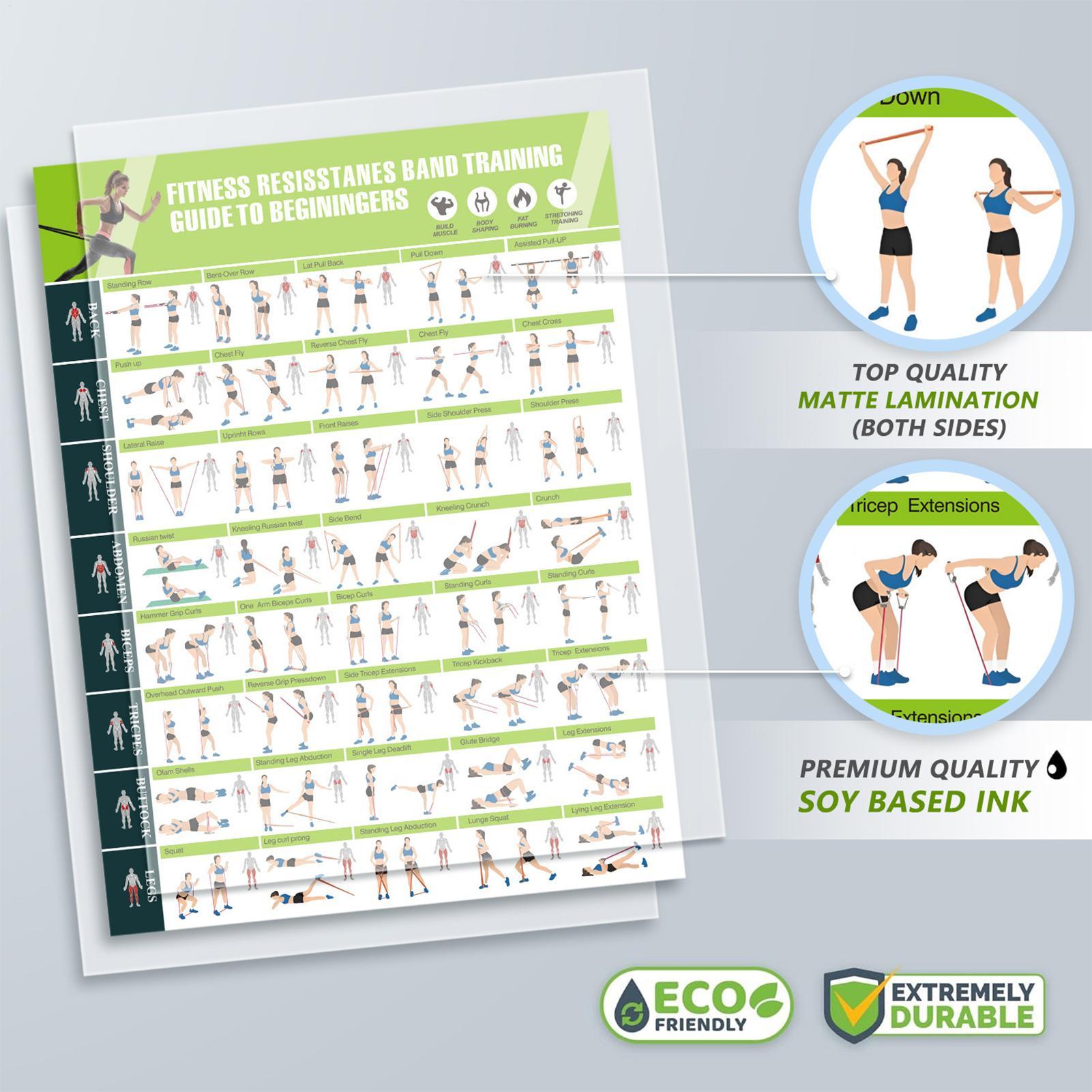 Wykres fitness, wykres pozycji – Home Improvement For Beginners recenzja i cena